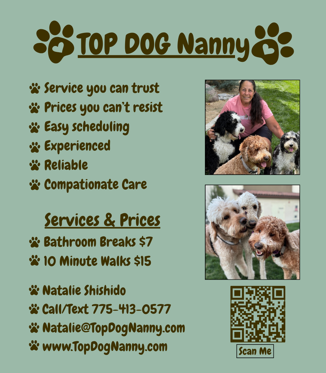 Top Dog Nanny flyer
